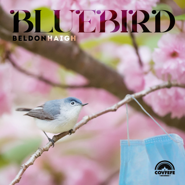 Bluebird